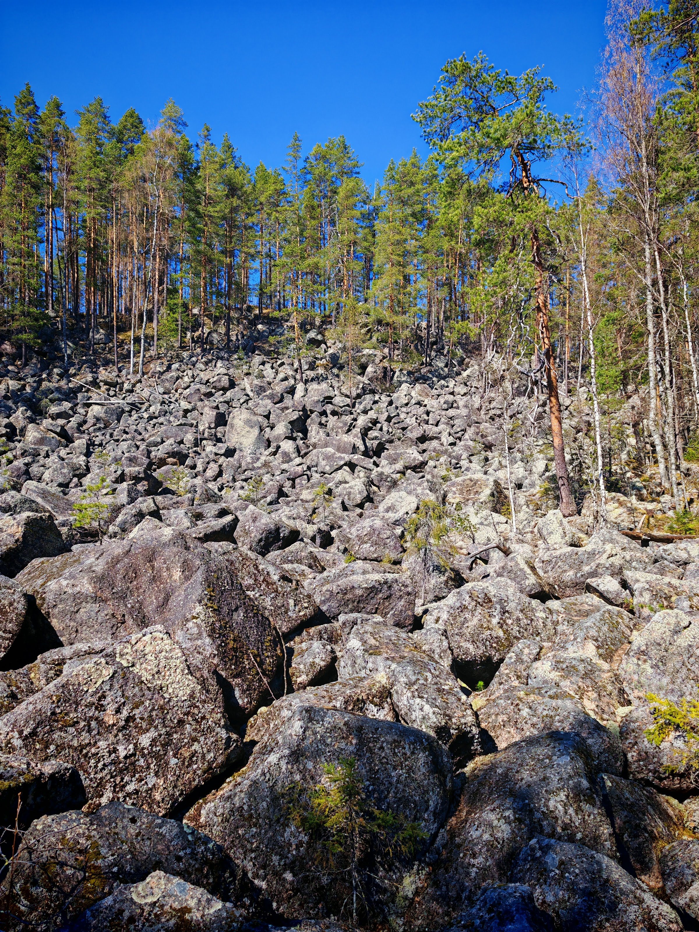Kivikuru (Jappilan kivikuru ja Hiidenkivi)